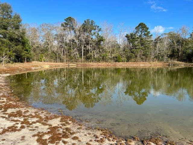 0 Middleton Road Dothan, AL 36301 - Photo 2 of 5
