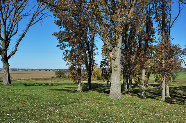 44W660 Rohrsen Road Hampshire, IL 60140 - Photo 24 of 25