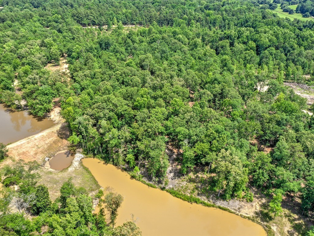 Parcel B Old Dibble Road Aiken, SC 29803 - Photo 5 of 17