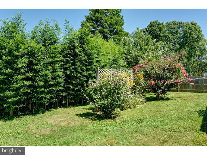 213 Cambridge Road Cherry Hill, NJ 08034 - Photo 22 of 24 Gallery Image 22
