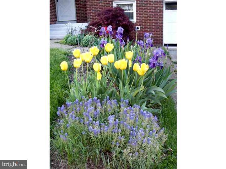 213 Cambridge Road Cherry Hill, NJ 08034 - Photo 24 of 24 Gallery Image 24