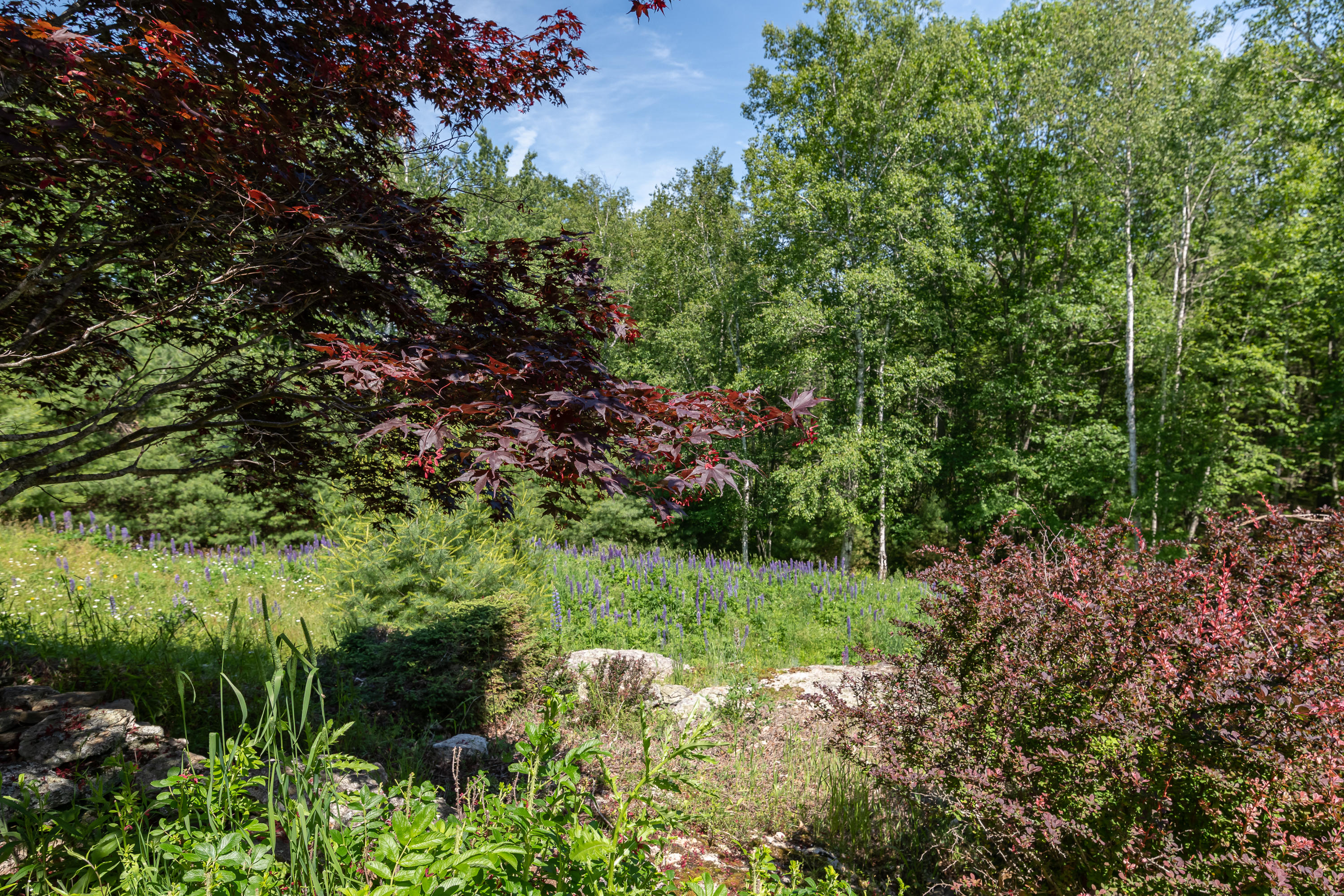 9 Collins Pattee Road Arrowsic, ME 04530 - Photo 33 of 33 GLM_6415