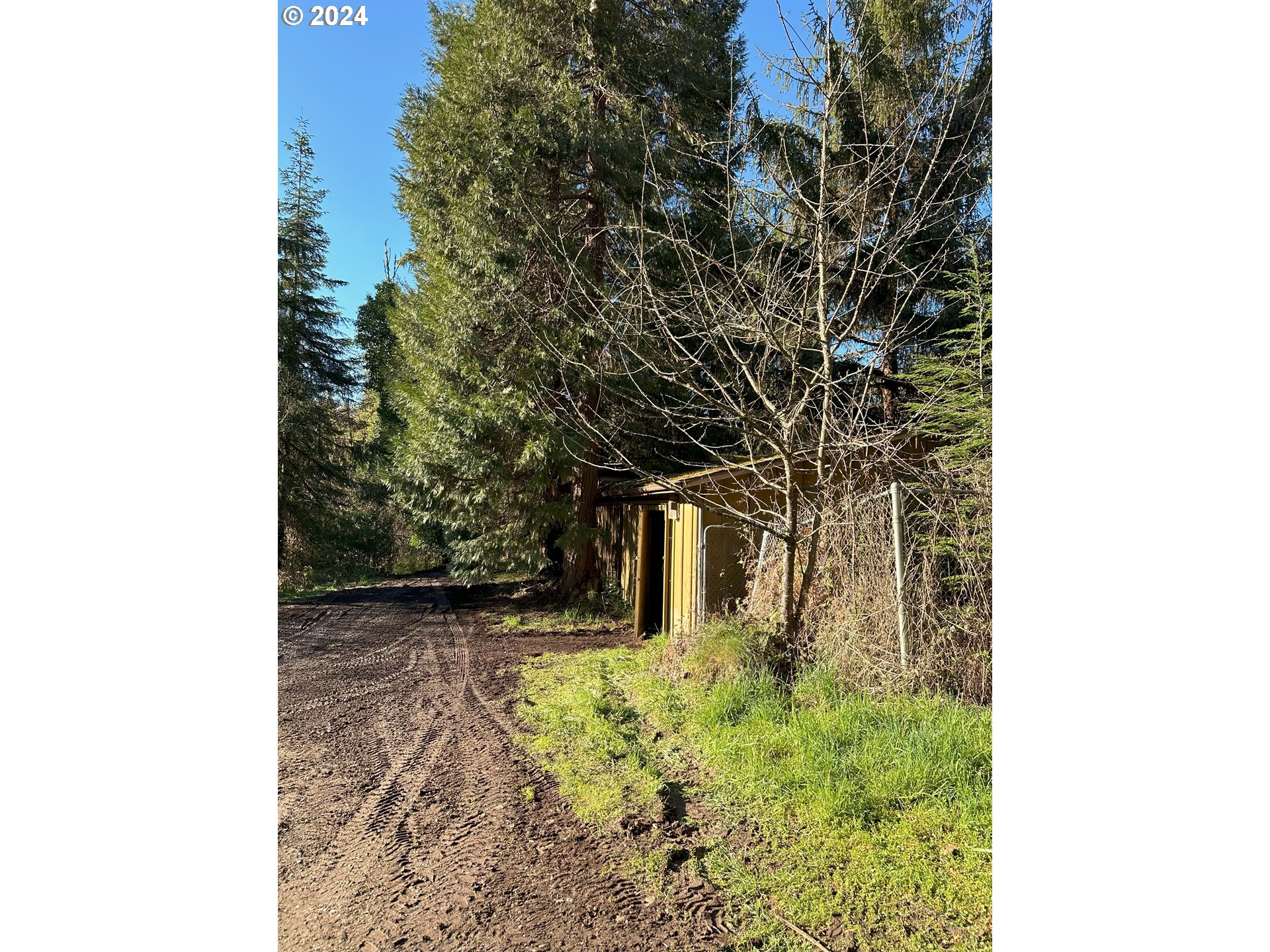 90314 Baker Road Elmira, OR 97437 - Photo 26 of 40 Shop