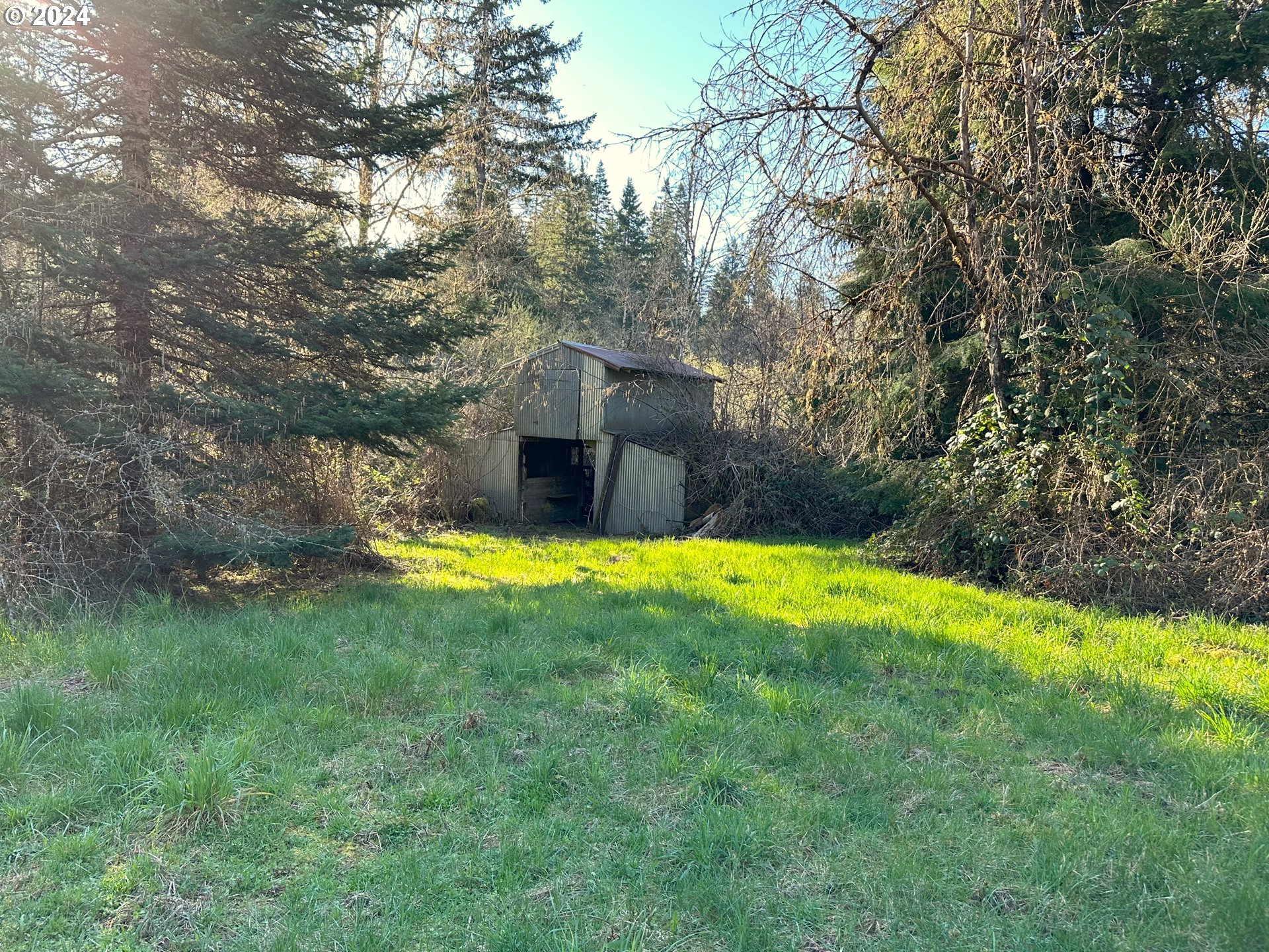90314 Baker Road Elmira, OR 97437 - Photo 31 of 40 Barn