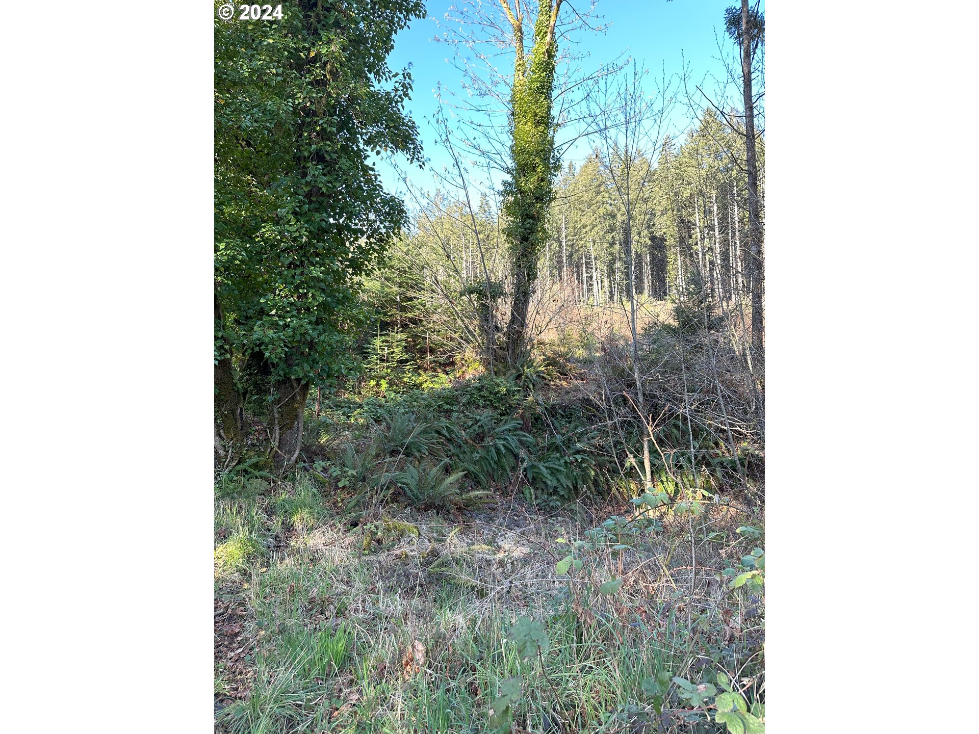 90314 Baker Road Elmira, OR 97437 - Photo 36 of 40 Acreage