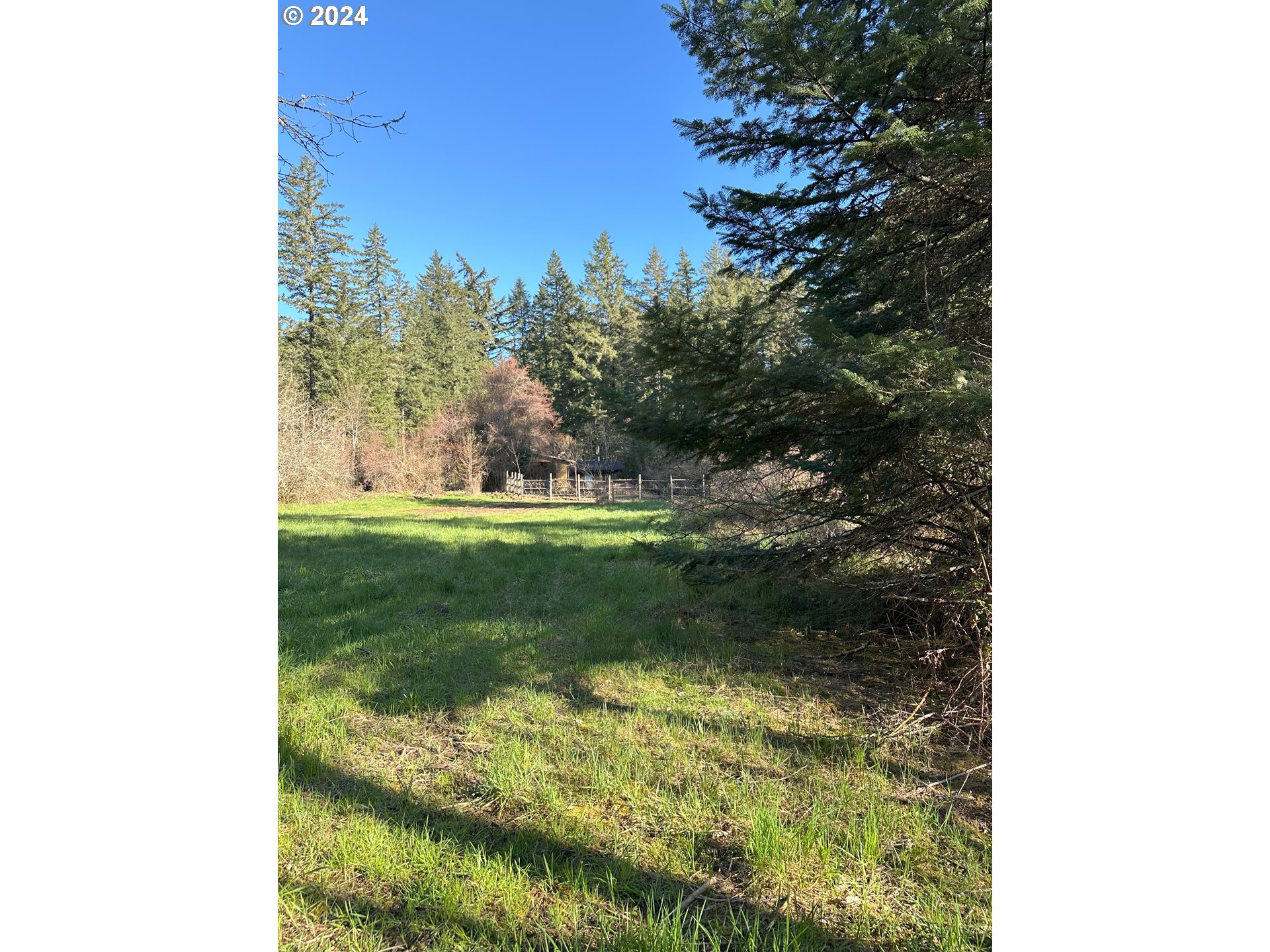 90314 Baker Road Elmira, OR 97437 - Photo 39 of 40 Pasture