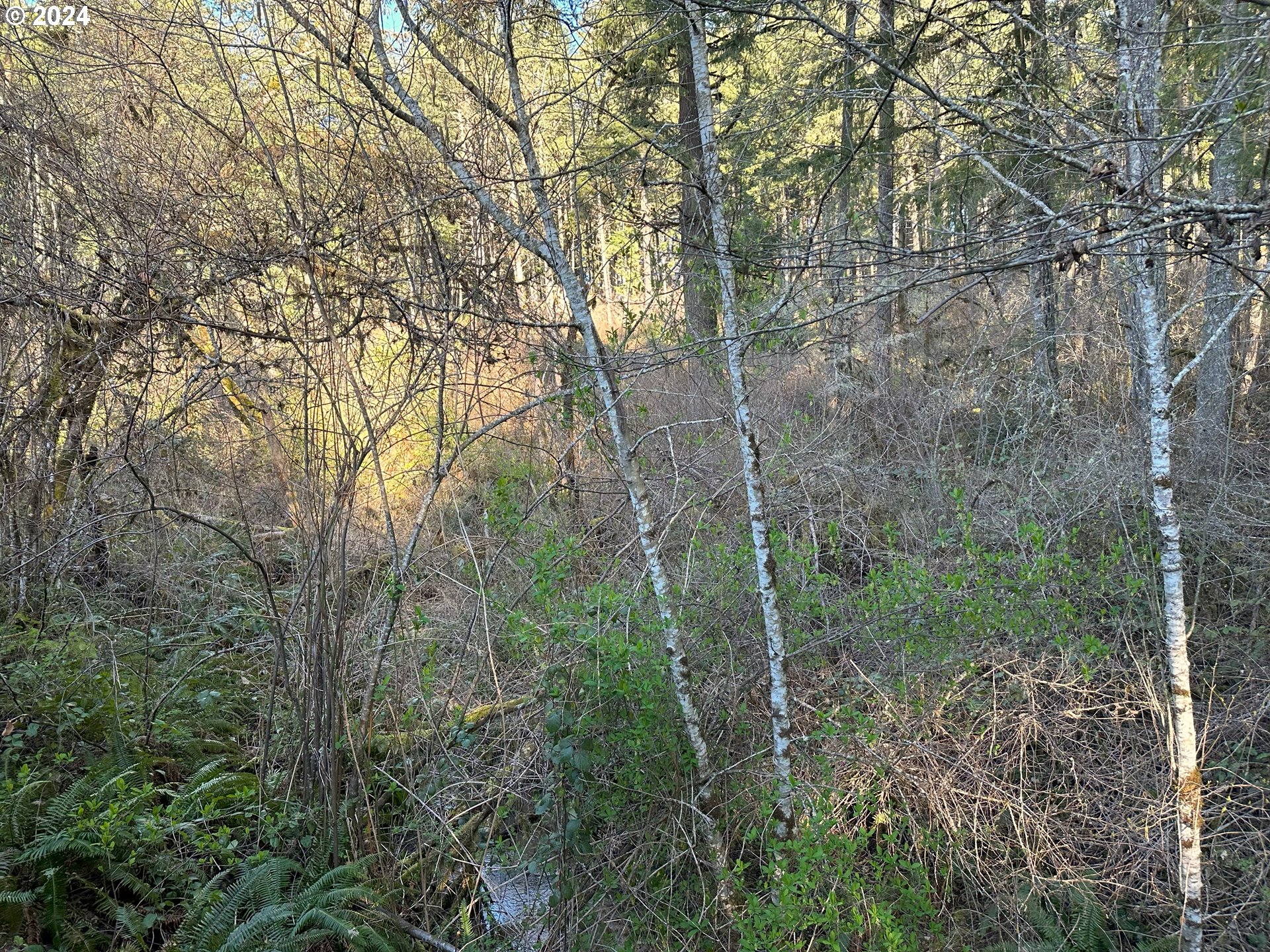 90314 Baker Road Elmira, OR 97437 - Photo 8 of 40 Creek