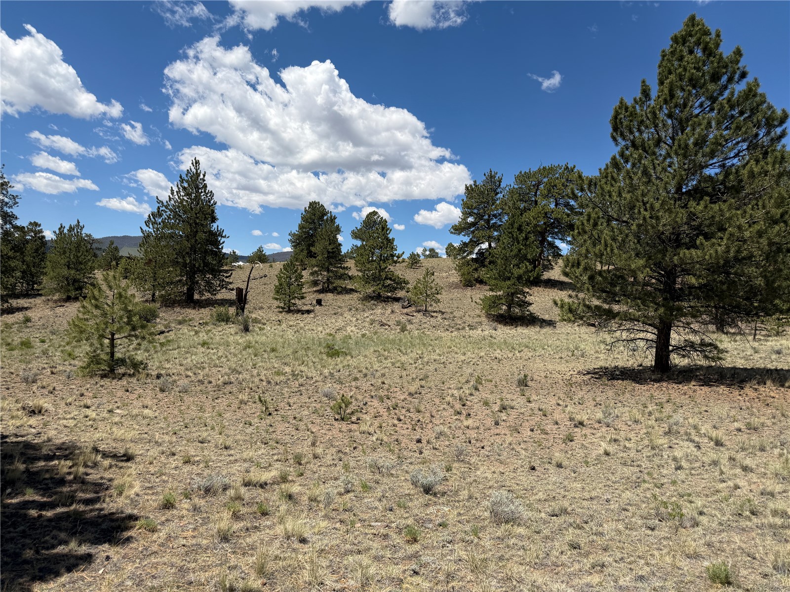 595 Bridle Path Hartsel, CO 80449 - Photo 1 of 23
