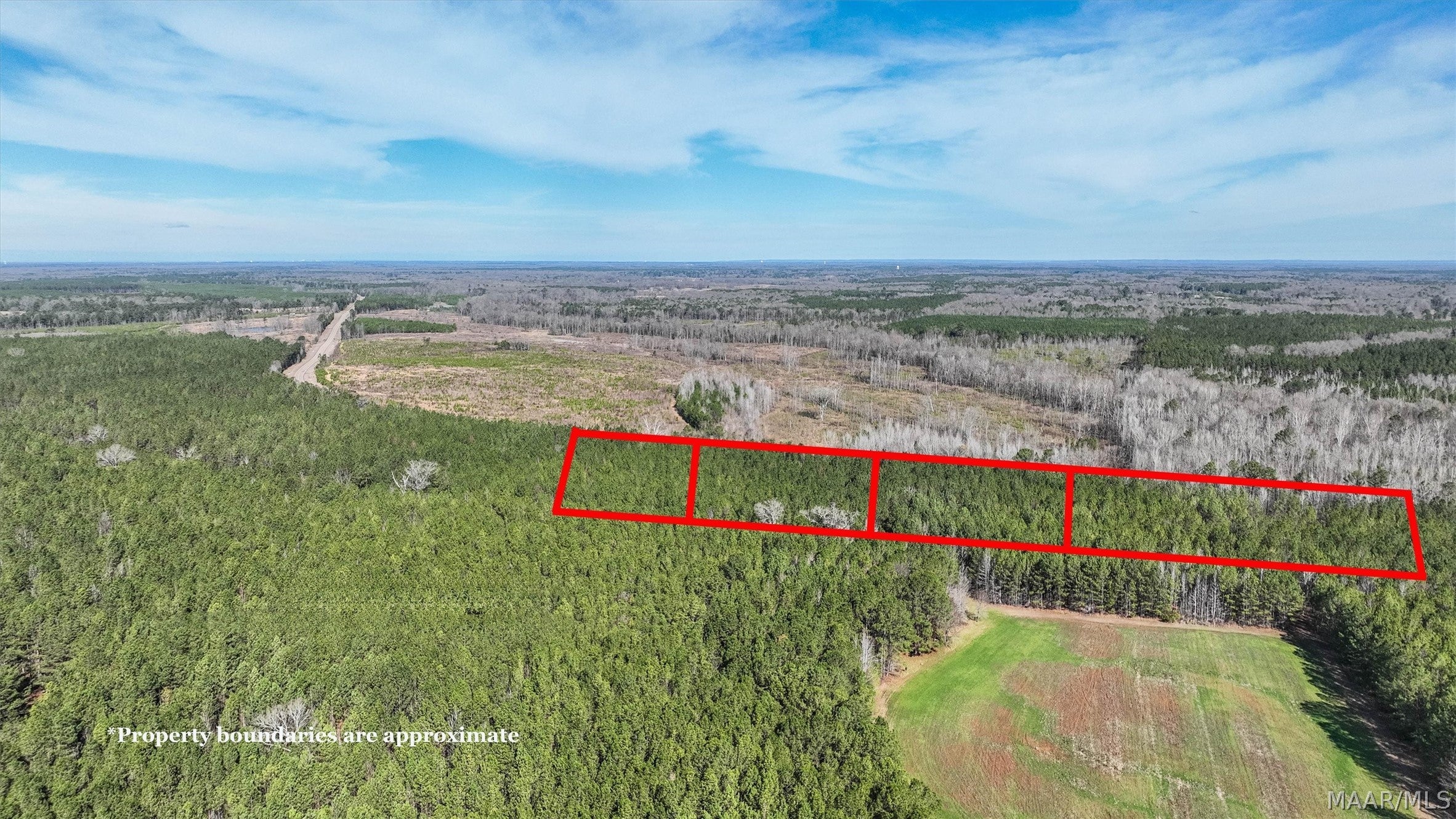 3 Highway 82 Mathews Al Mathews, AL 36052 - Photo 3 of 8 Gallery Image 3