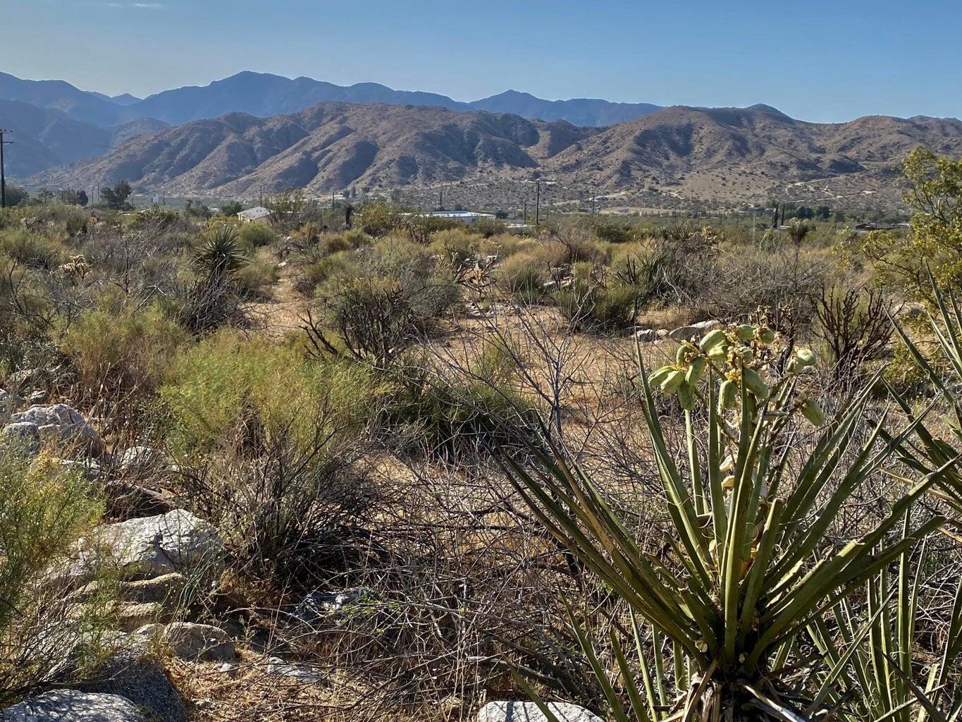 135 Bardell Road Morongo Valley, CA 92256 - Photo 13 of 29 a view of a and mountain view