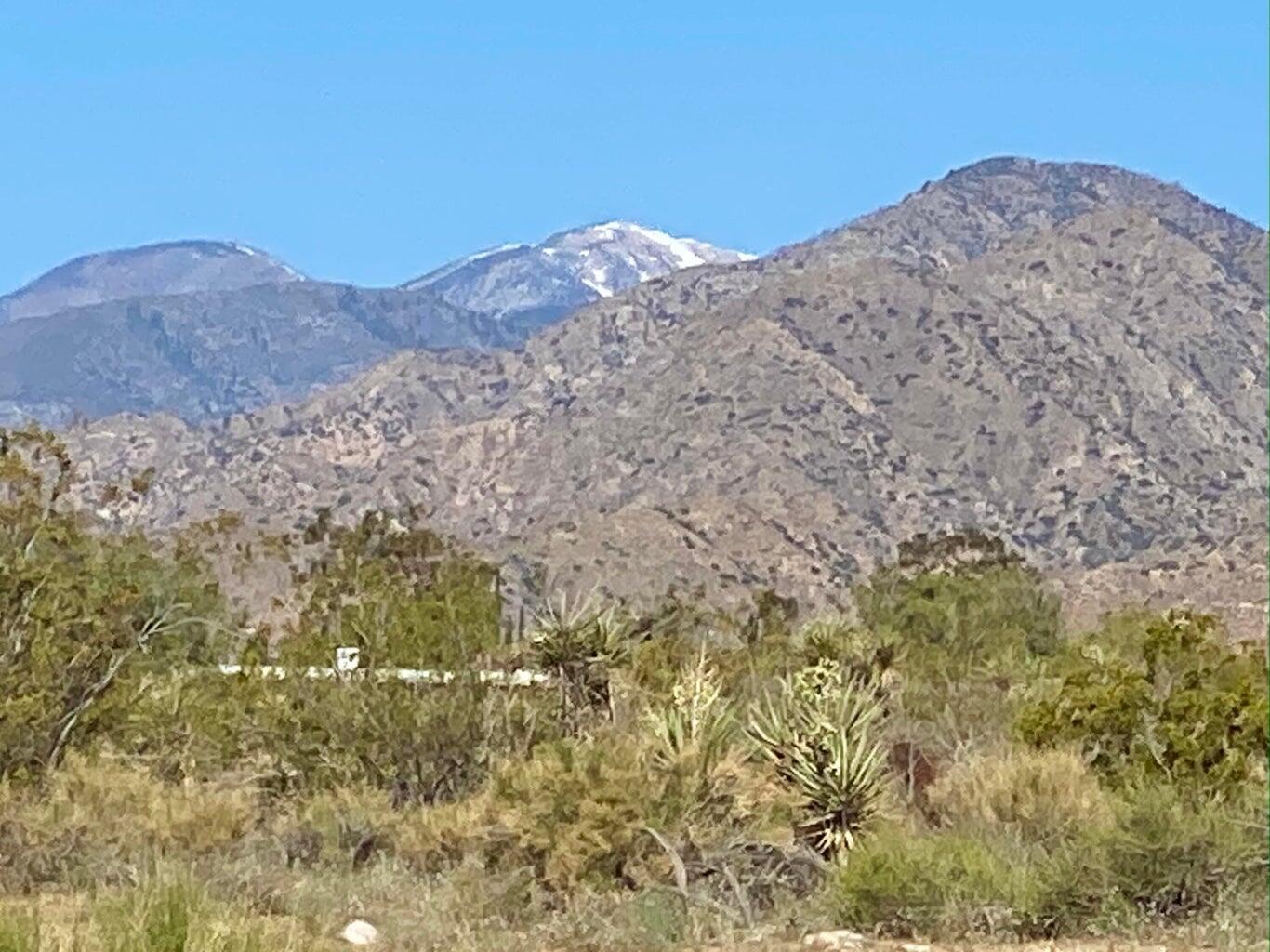 135 Bardell Road Morongo Valley, CA 92256 - Photo 4 of 29 a view of a dry yard with mountains in the background