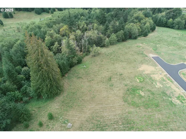 a view of a yard with a tree