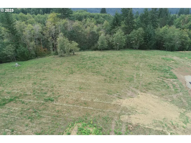 a view of a field with trees in the background