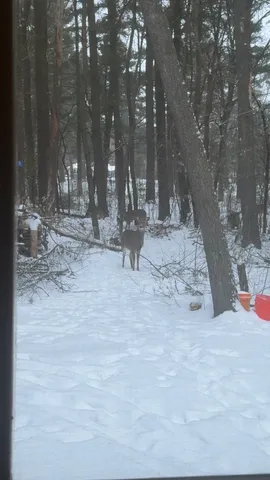 $265,000 | 454 Shady Lane, Wisconsin Rapids, WI 54494