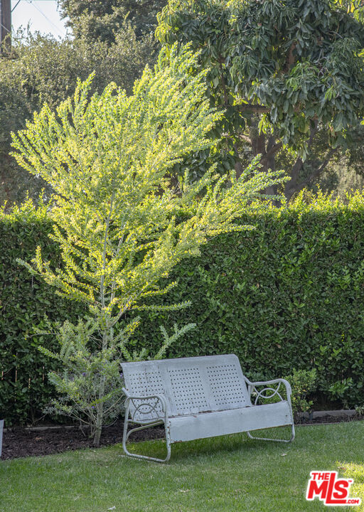 55 West Altadena Drive Altadena, CA 91001 - Photo 4 of 42 a view of a chair and table in the garden