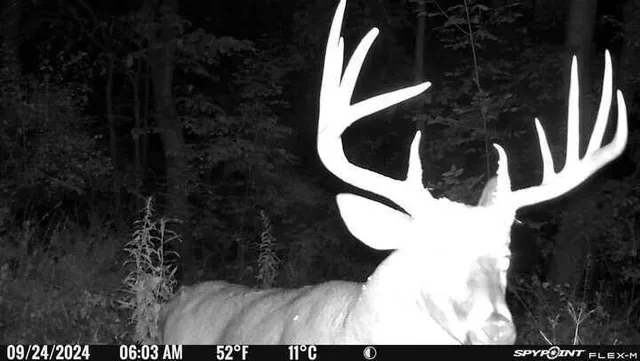 $574,999 | 0 Korthals Lane, Chaseburg, WI 54621