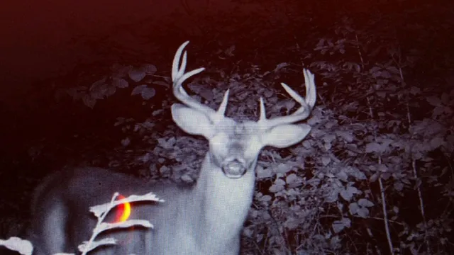 $574,999 | 0 Korthals Lane, Chaseburg, WI 54621