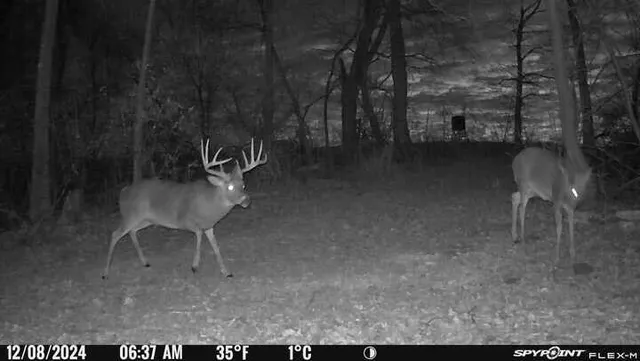 $574,999 | 0 Korthals Lane, Chaseburg, WI 54621