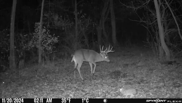 $574,999 | 0 Korthals Lane, Chaseburg, WI 54621