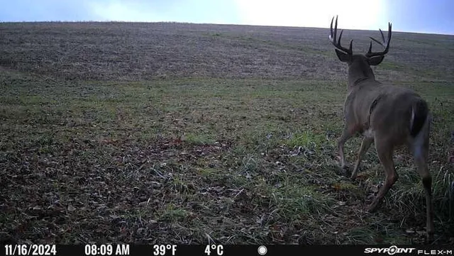 $574,999 | 0 Korthals Lane, Chaseburg, WI 54621