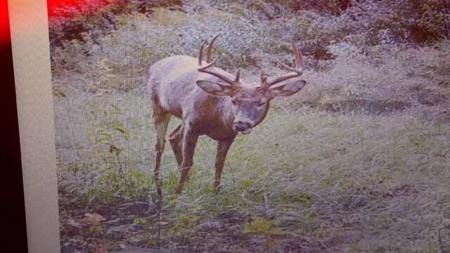 $574,999 | 0 Korthals Lane, Chaseburg, WI 54621