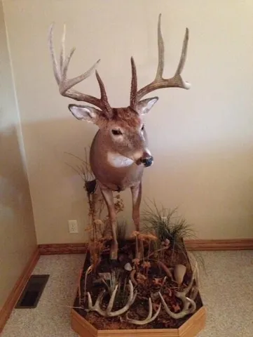 $574,999 | 0 Korthals Lane, Chaseburg, WI 54621