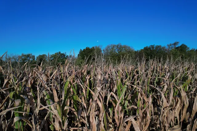 $574,999 | 0 Korthals Lane, Chaseburg, WI 54621