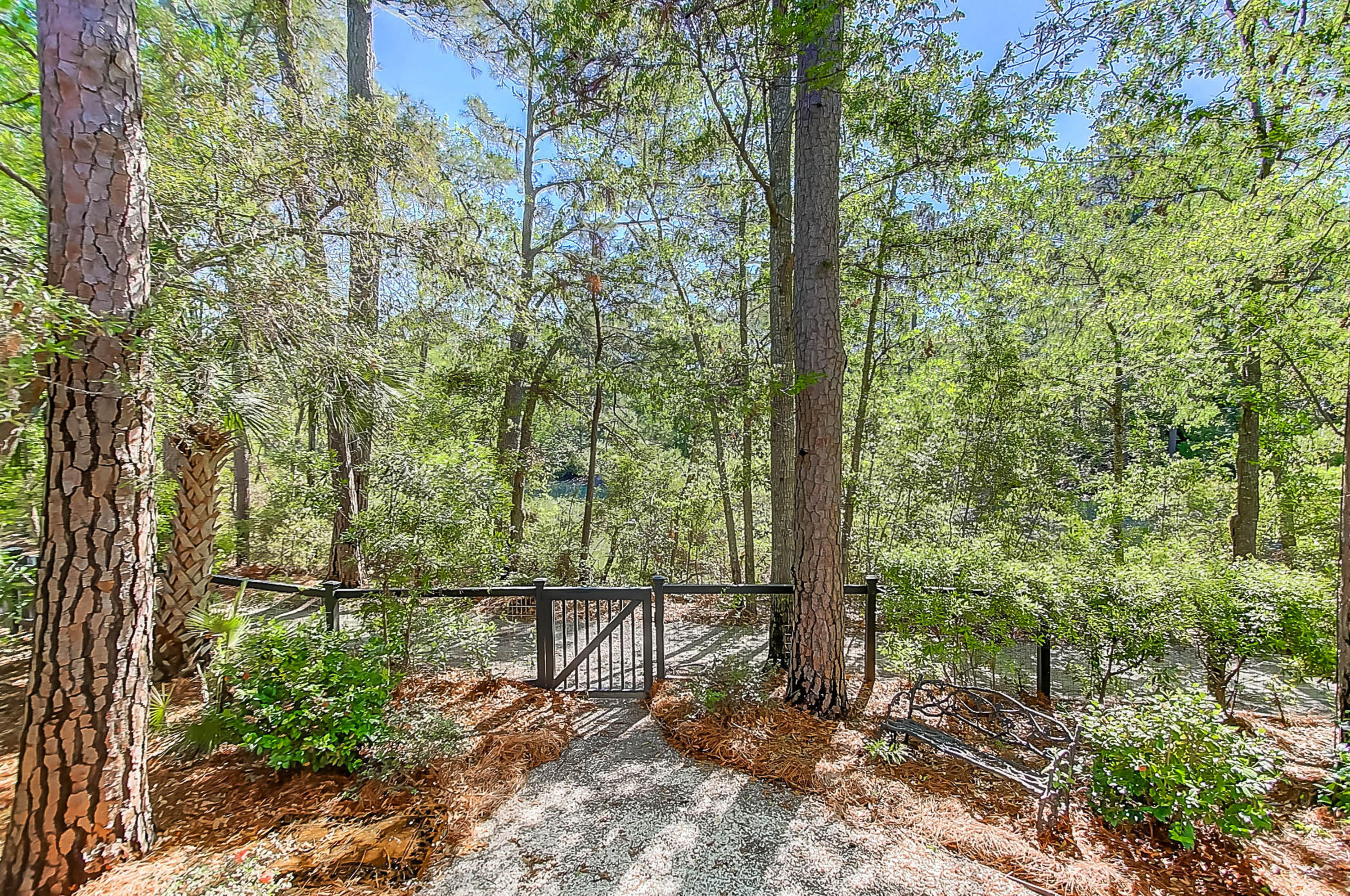 30 Hopetown Road Mount Pleasant, SC 29464 - Photo 51 of 57 Backyard