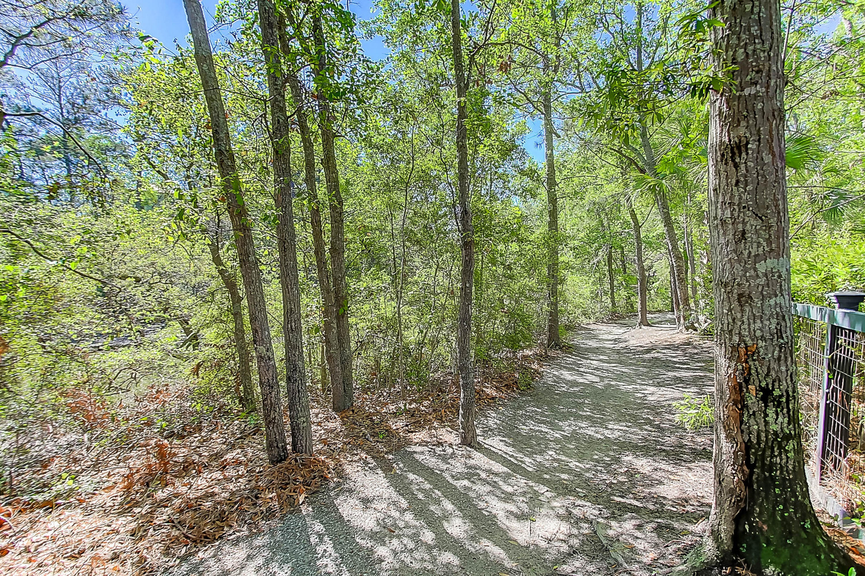 30 Hopetown Road Mount Pleasant, SC 29464 - Photo 52 of 57 Marsh Path