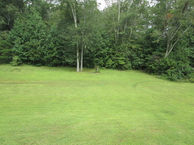 1557 Hillendale Road Crossville, TN 38572 - Photo 18 of 20 a view of a green yard