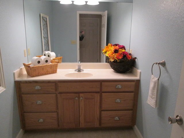 1557 Hillendale Road Crossville, TN 38572 - Photo 7 of 20 a bathroom with a sink and a mirror