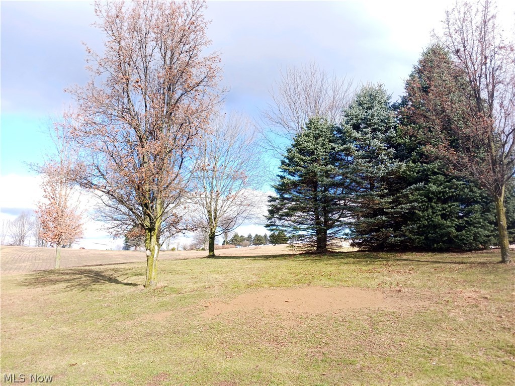 23446 Ridge Road Minerva, OH 44657 - Photo 6 of 18 Gallery Image 6