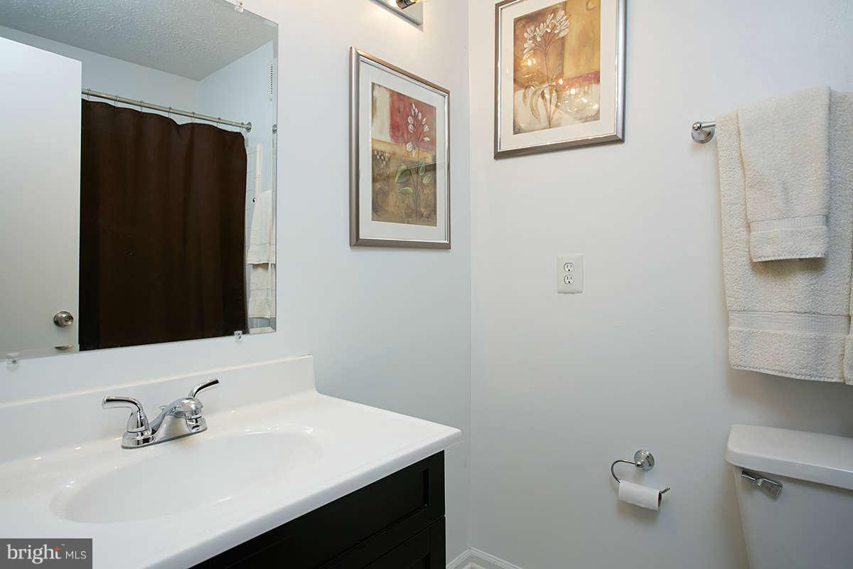 2203 Hunter's Run Drive, Unit 2203 Reston, VA 20191 - Photo 17 of 27 Bath (Master)
