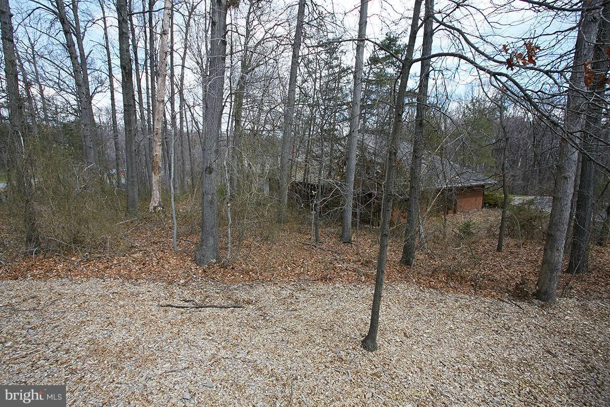 2203 Hunter's Run Drive, Unit 2203 Reston, VA 20191 - Photo 23 of 27 View