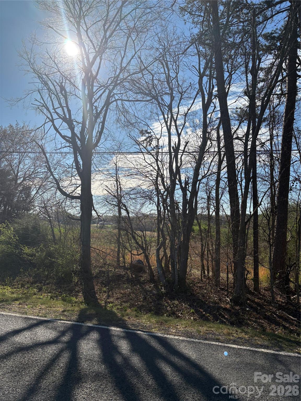 0 Silver Road Oakboro, NC 28129 - Photo 11 of 17 a view of a yard with a tree