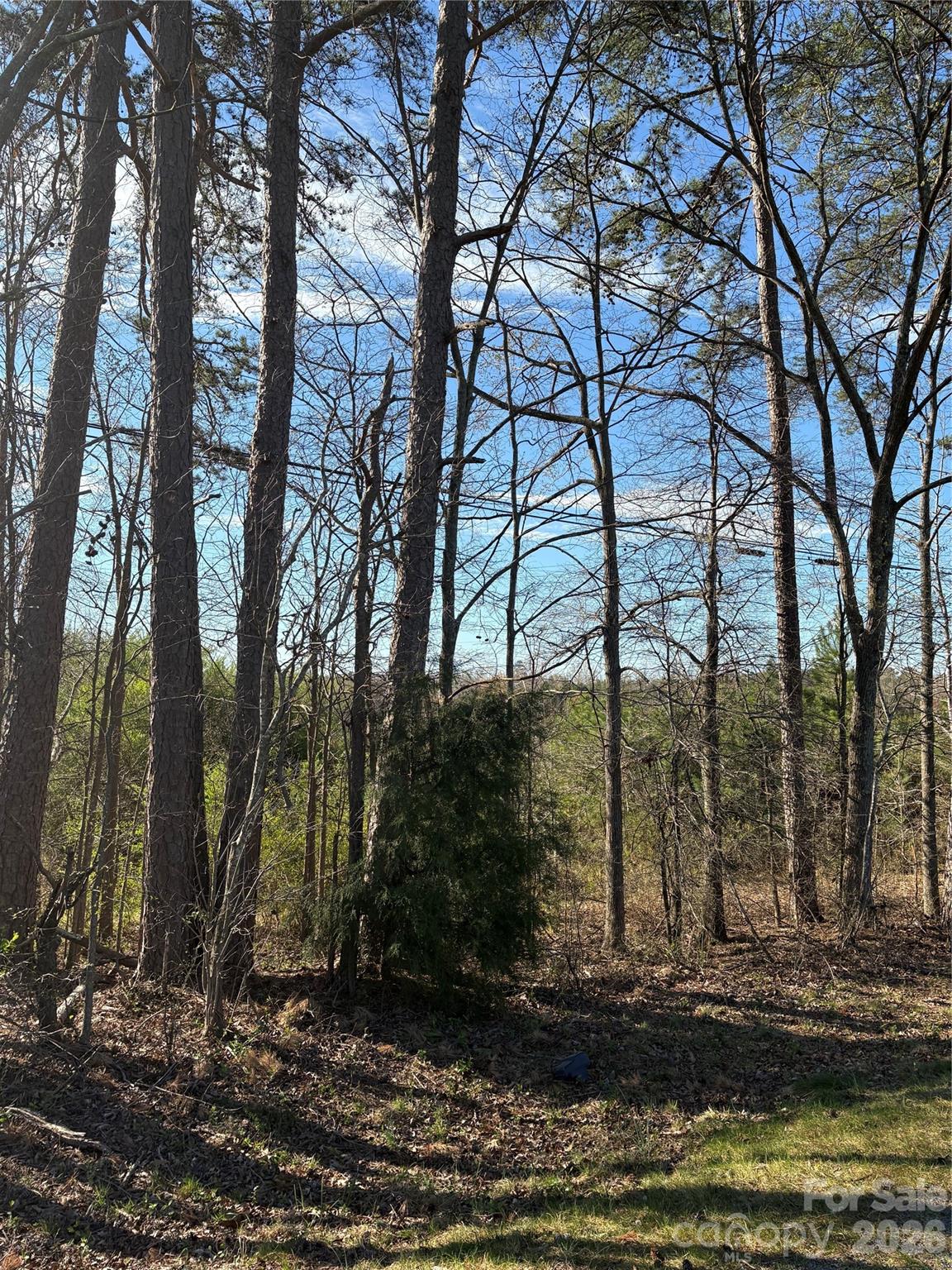 0 Silver Road Oakboro, NC 28129 - Photo 12 of 17 a backyard of a house with lots of green space