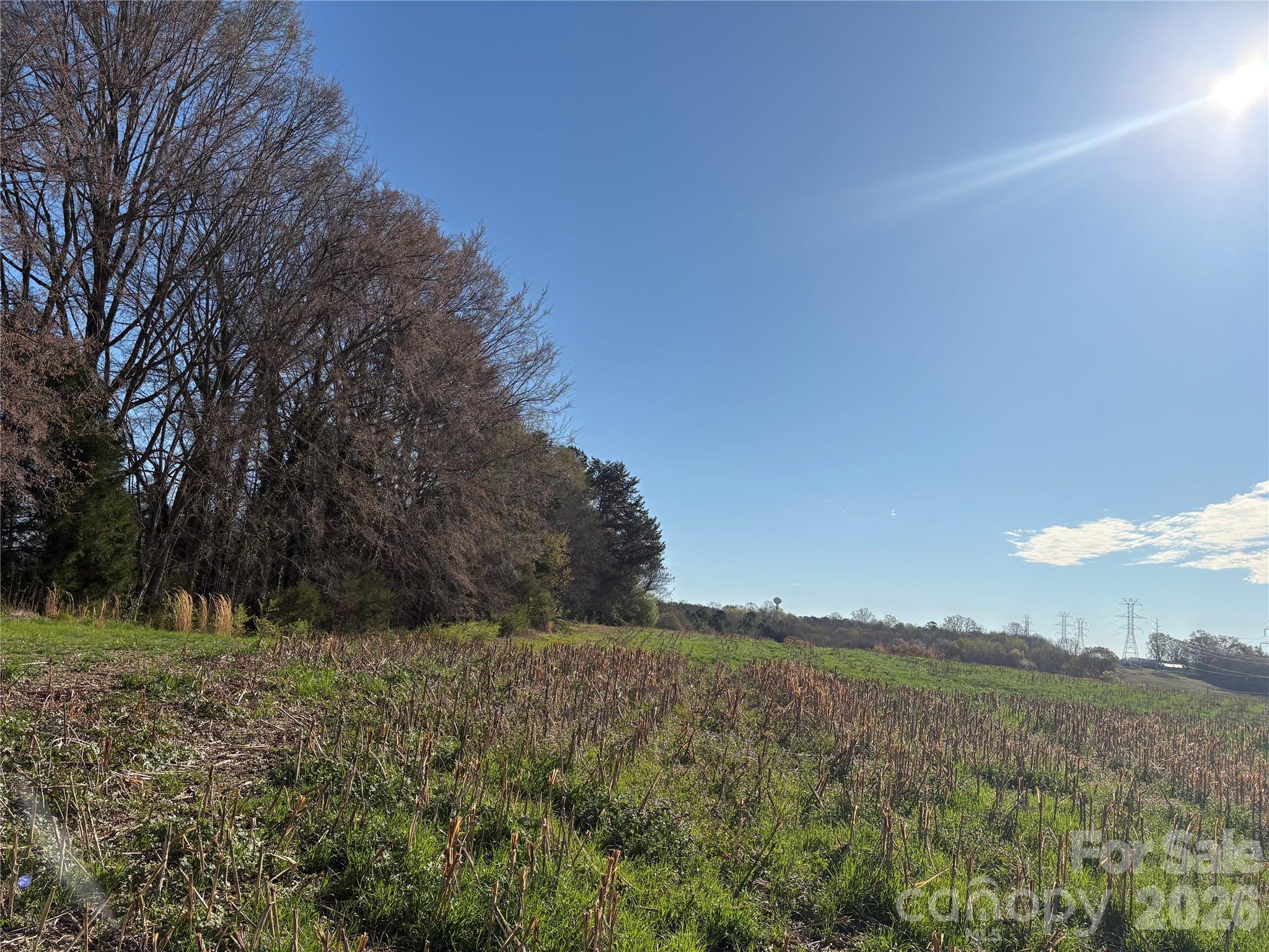 0 Silver Road Oakboro, NC 28129 - Photo 8 of 17 a view of a field with a tree in the background
