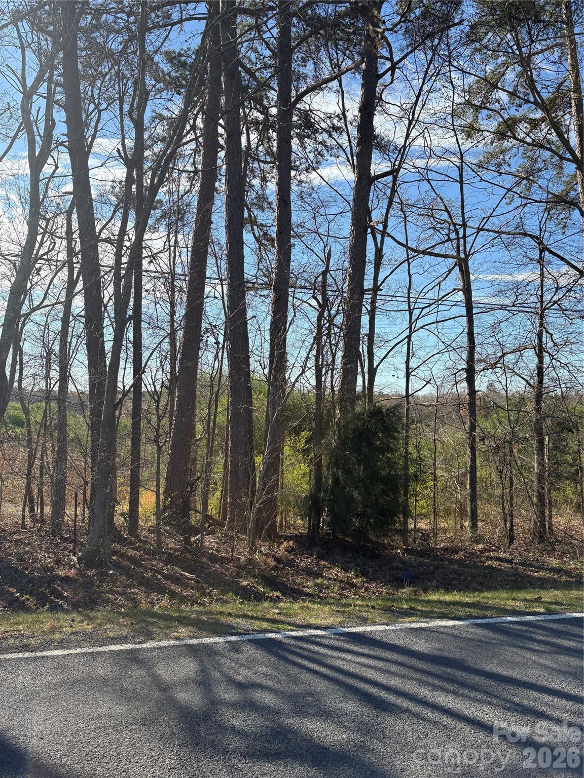0 Silver Road Oakboro, NC 28129 - Photo 9 of 17 a view of a park