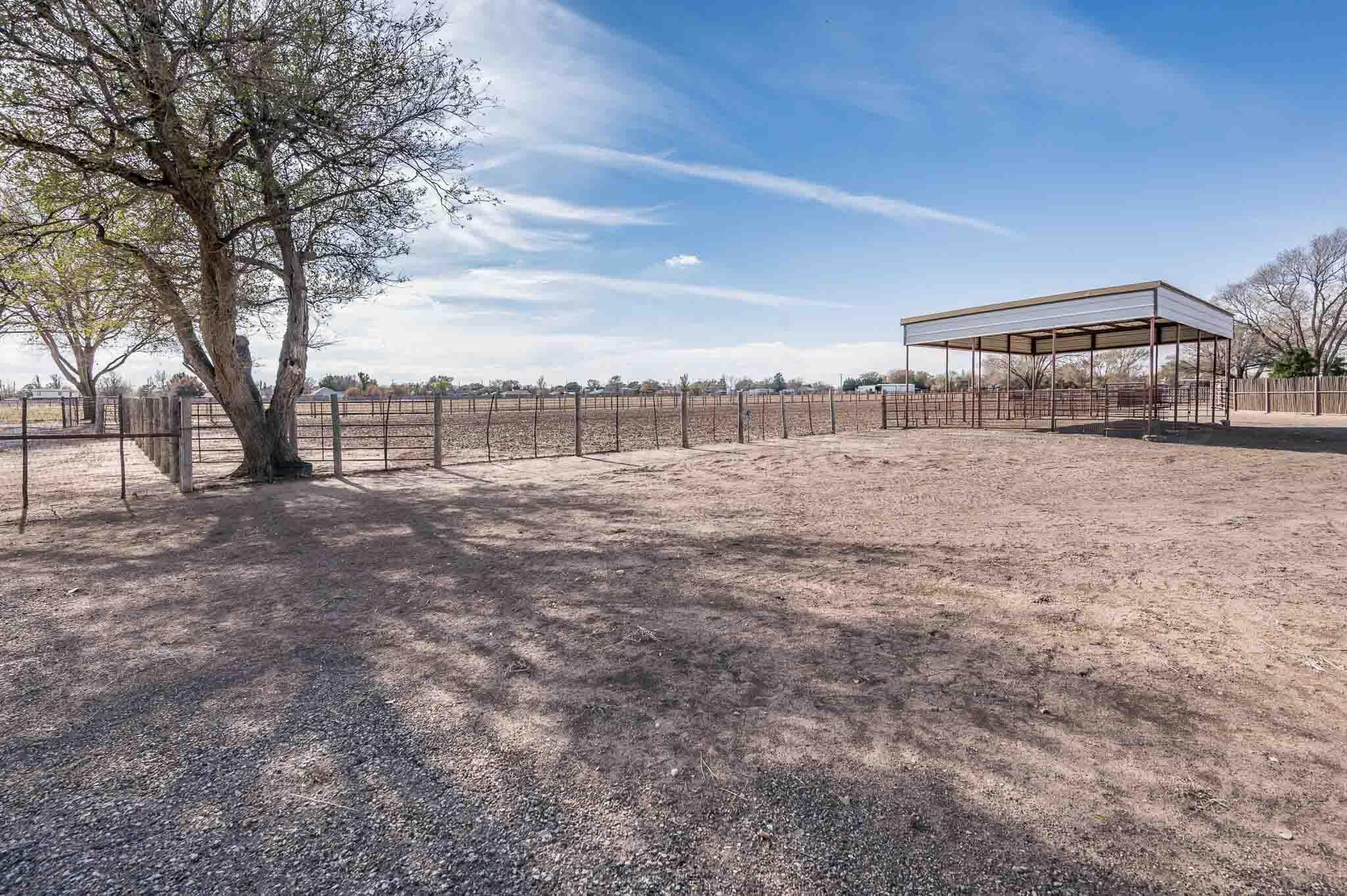 7517 Duling Lane Amarillo, TX 79110 - Photo 65 of 80 a view of large trees with yard and large trees