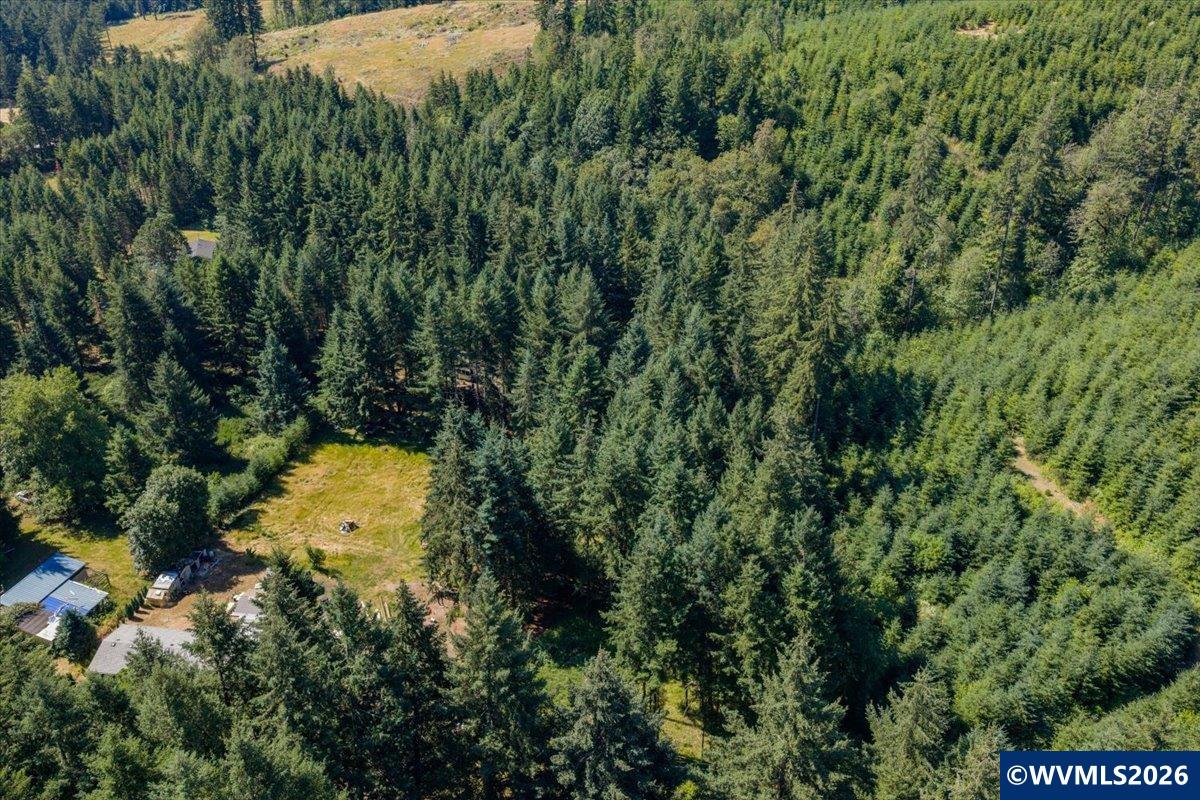 432 Chamberlain Road Falls City, OR 97344 - Photo 18 of 26