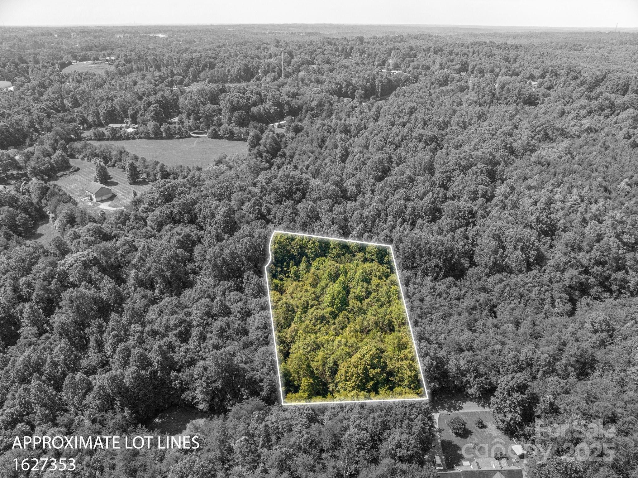 Lot # Meadow Crossing Drive Rutherfordton, NC 28139 - Photo 10 of 13 a view of a yard