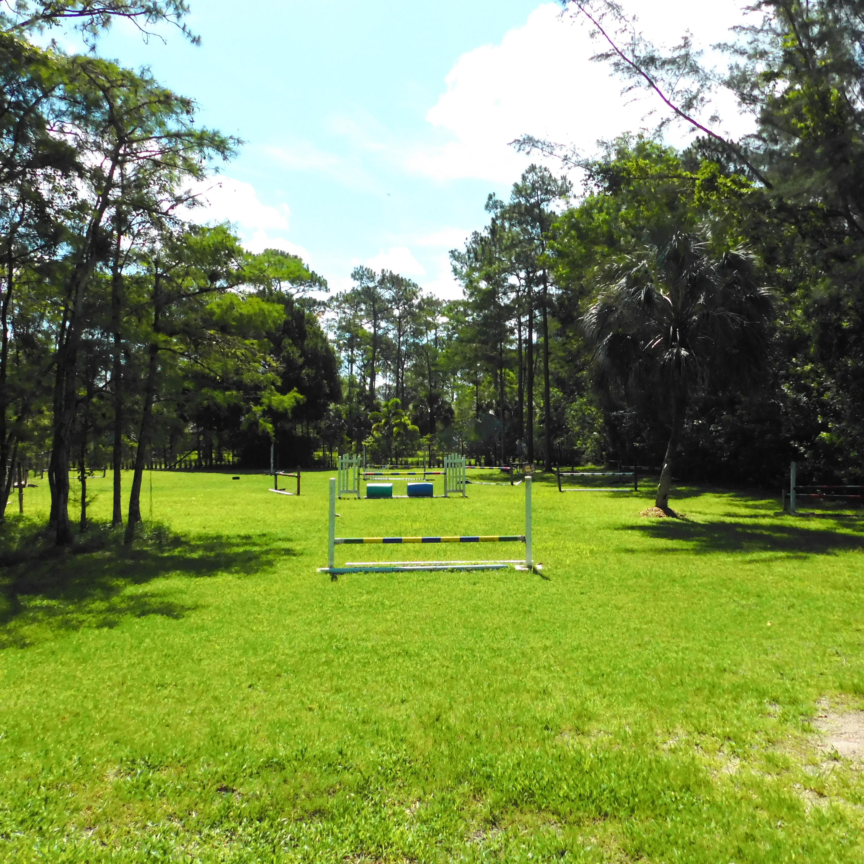 1032 Hyde Park Road Loxahatchee, FL 33470 - Photo 17 of 24 a view of a park with large trees