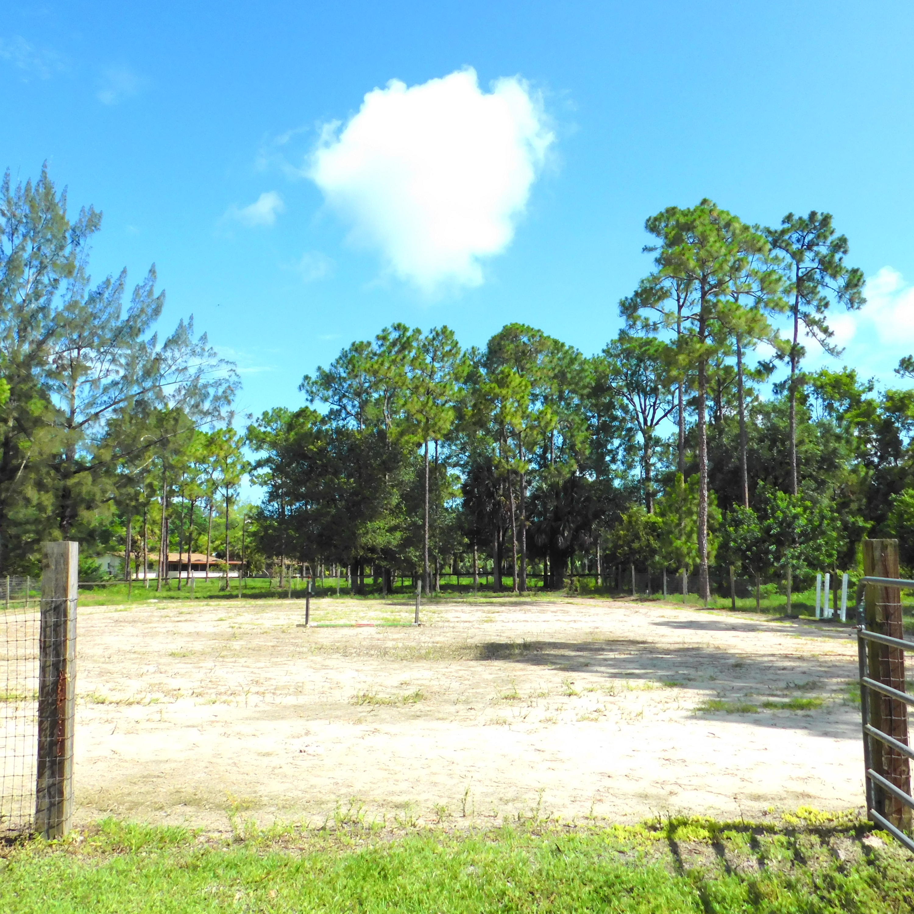 1032 Hyde Park Road Loxahatchee, FL 33470 - Photo 18 of 24 a view of a swimming pool with a yard