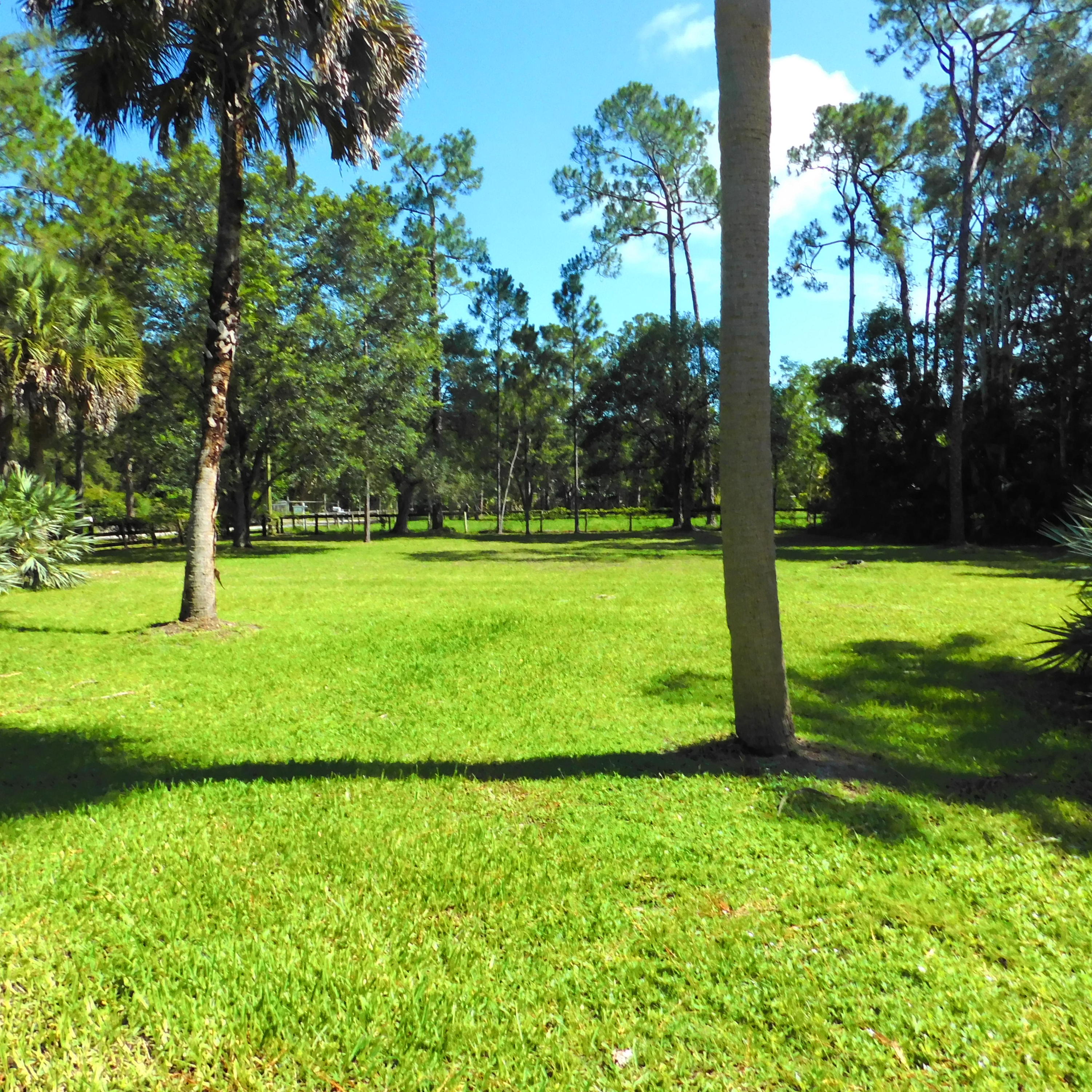 1032 Hyde Park Road Loxahatchee, FL 33470 - Photo 19 of 24 a view of a trees with a yard