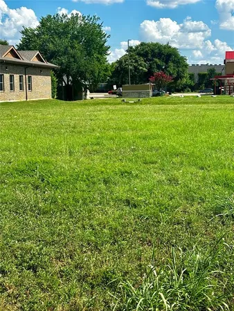 a view of a garden