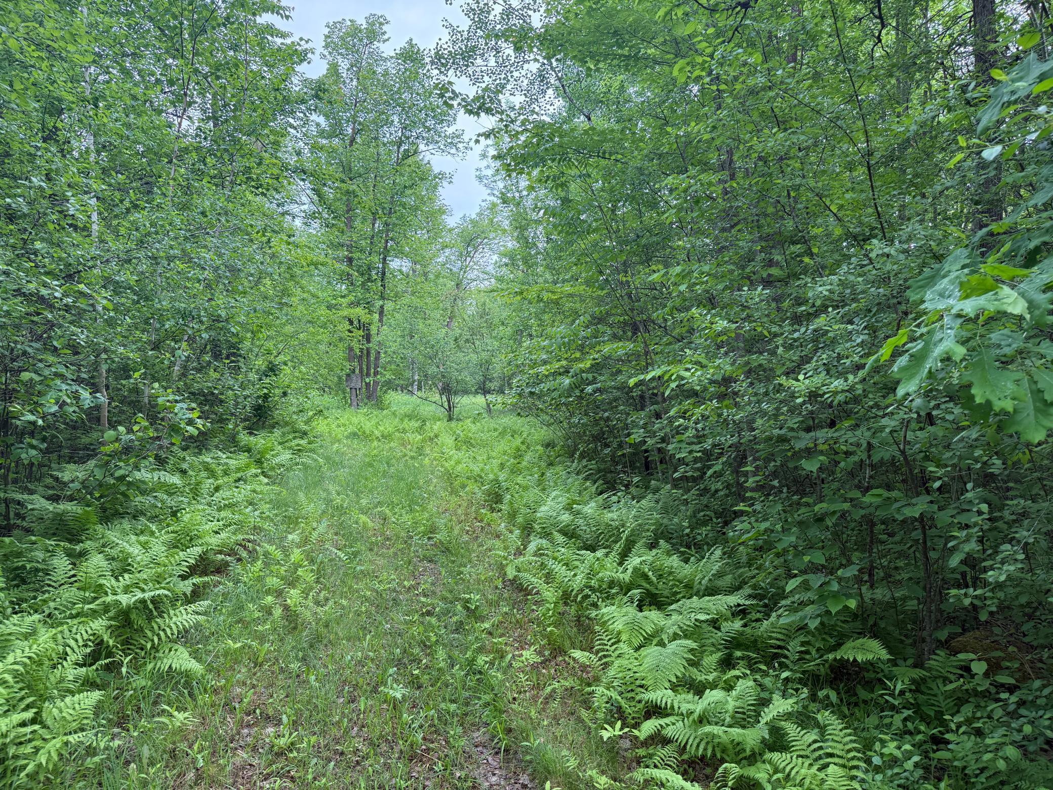 10551 Mallard Road Brook Park, MN 55007 - Photo 10 of 44