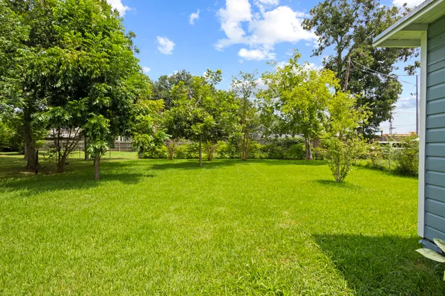 a view of yard with green space