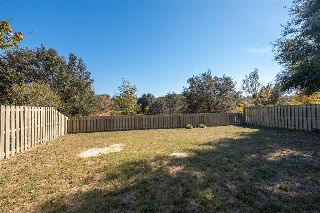7775 Southwest 80th Drive Gainesville, FL 32608 - Photo 29 of 29 a view of backyard and trees