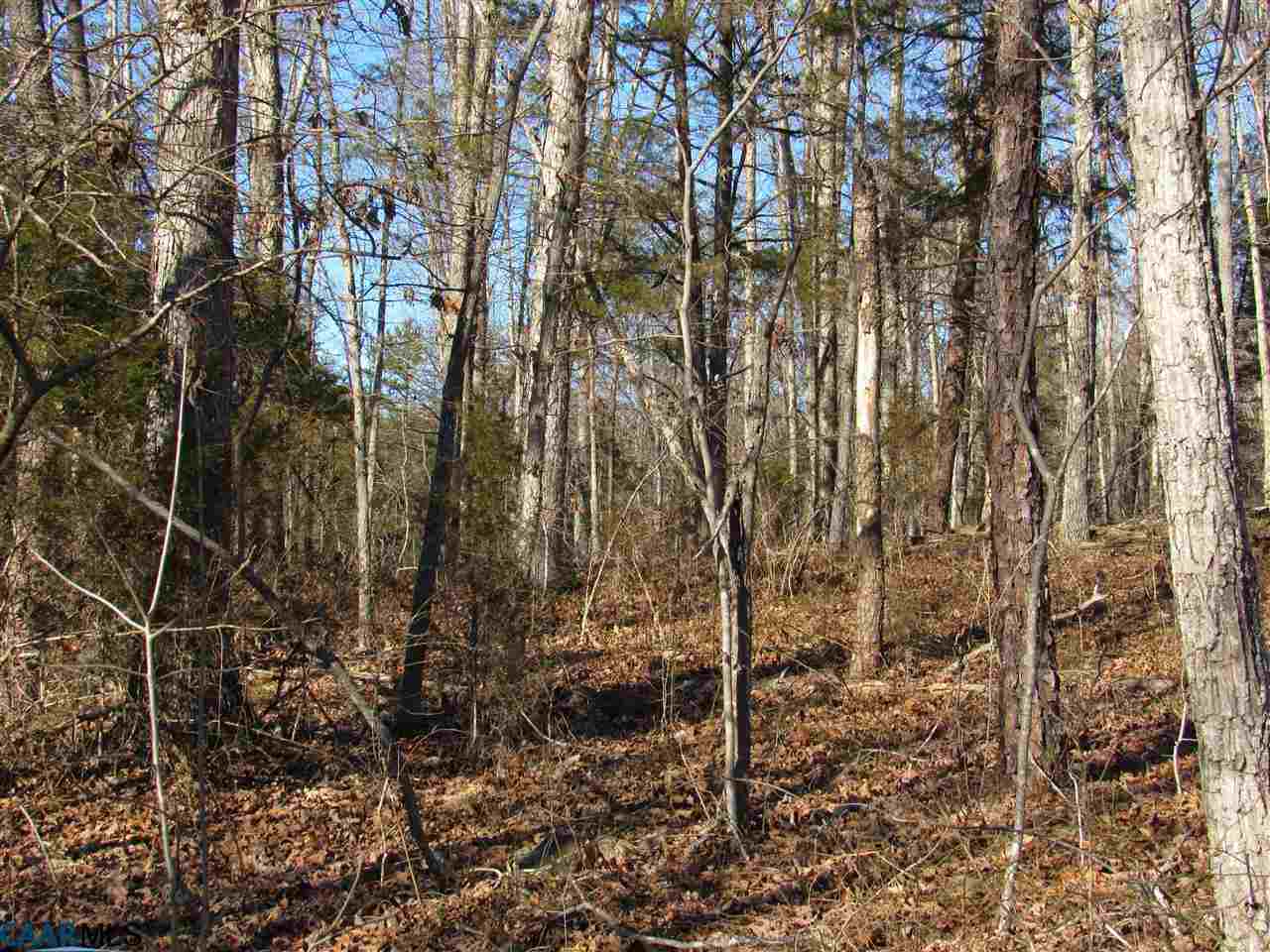 6 Phoenix Road Arrington, VA 22922 - Photo 4 of 4 a view of a yard