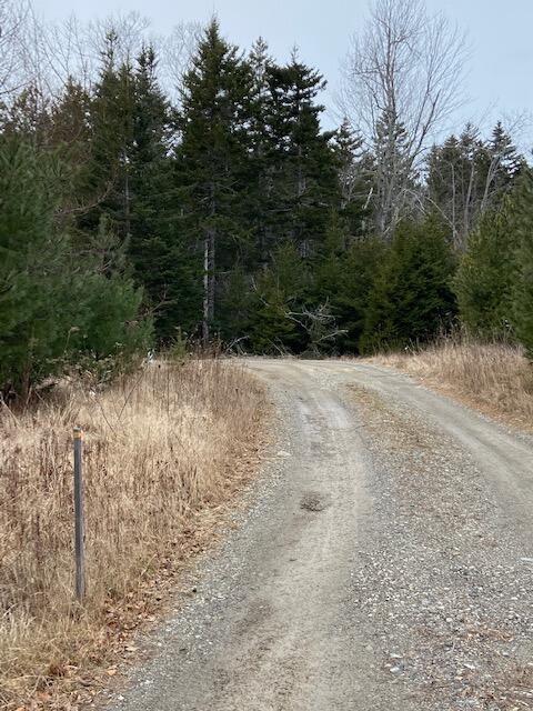 M36-l8&l9 Main Road Islesboro, ME 04848 - Photo 8 of 22 IMG_8385